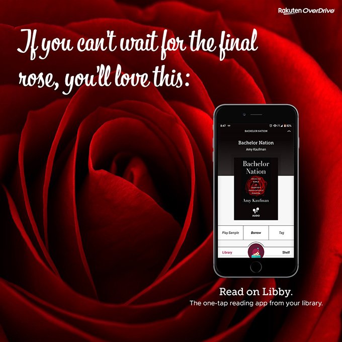 a big red rose with a smarphone displaying Libby in front of it