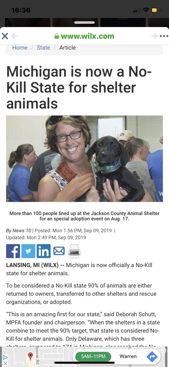 Isabella tweet media