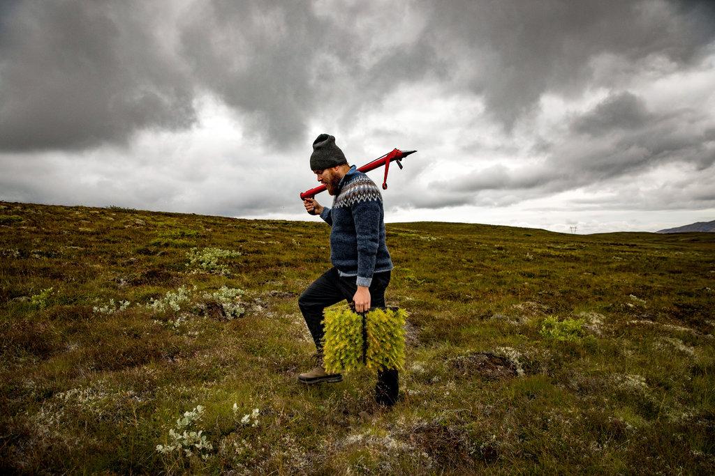 ARSC_UA's tweet photo. Can the Icelandic Forest Service restore the nation's long-lost tree cover?
https://t.co/oGJhwggH7c https://t.co/lLVg1JGDY3