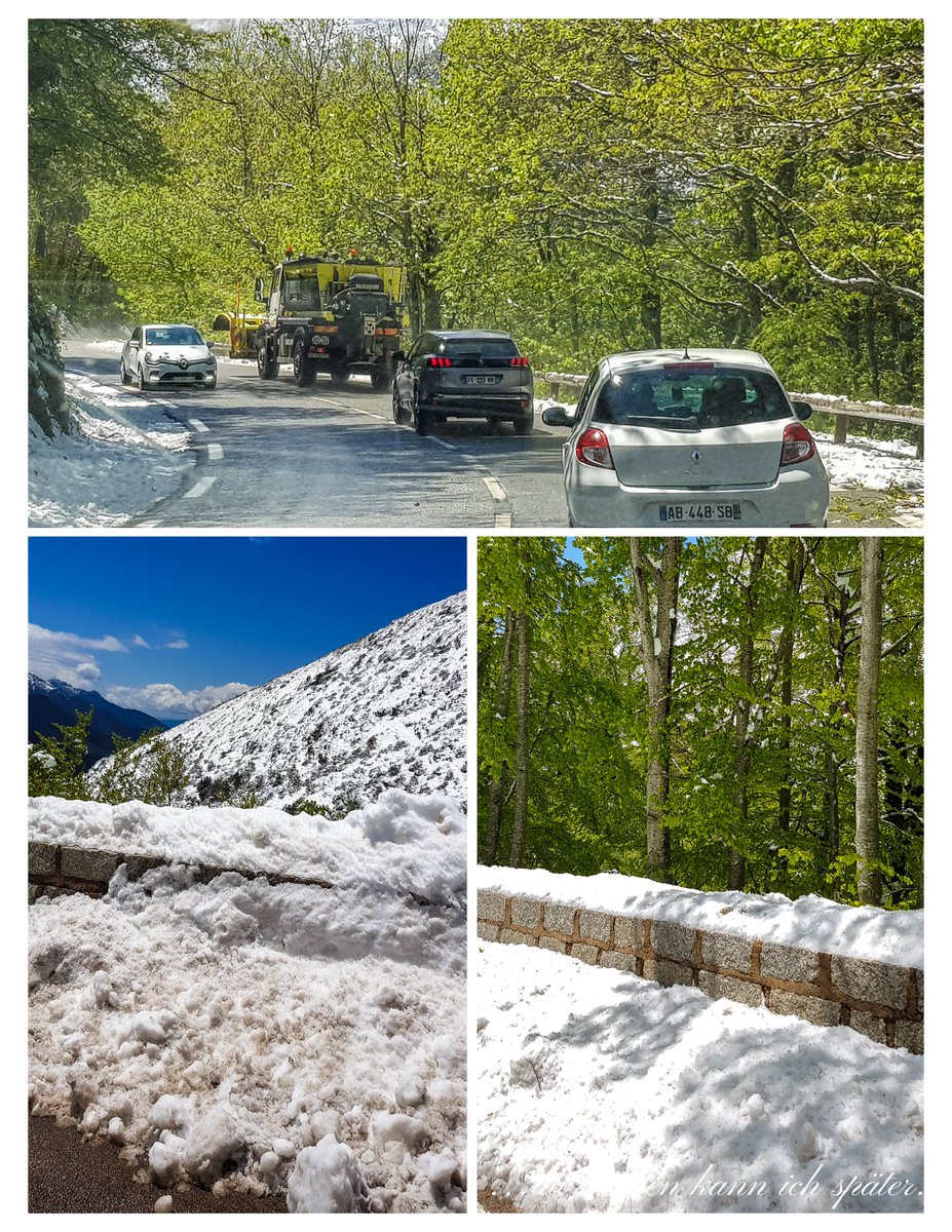 Regula_Blog's tweet image. Korsika im Schnee: altwerden-spaeter.blog/2019/09/08/sch…