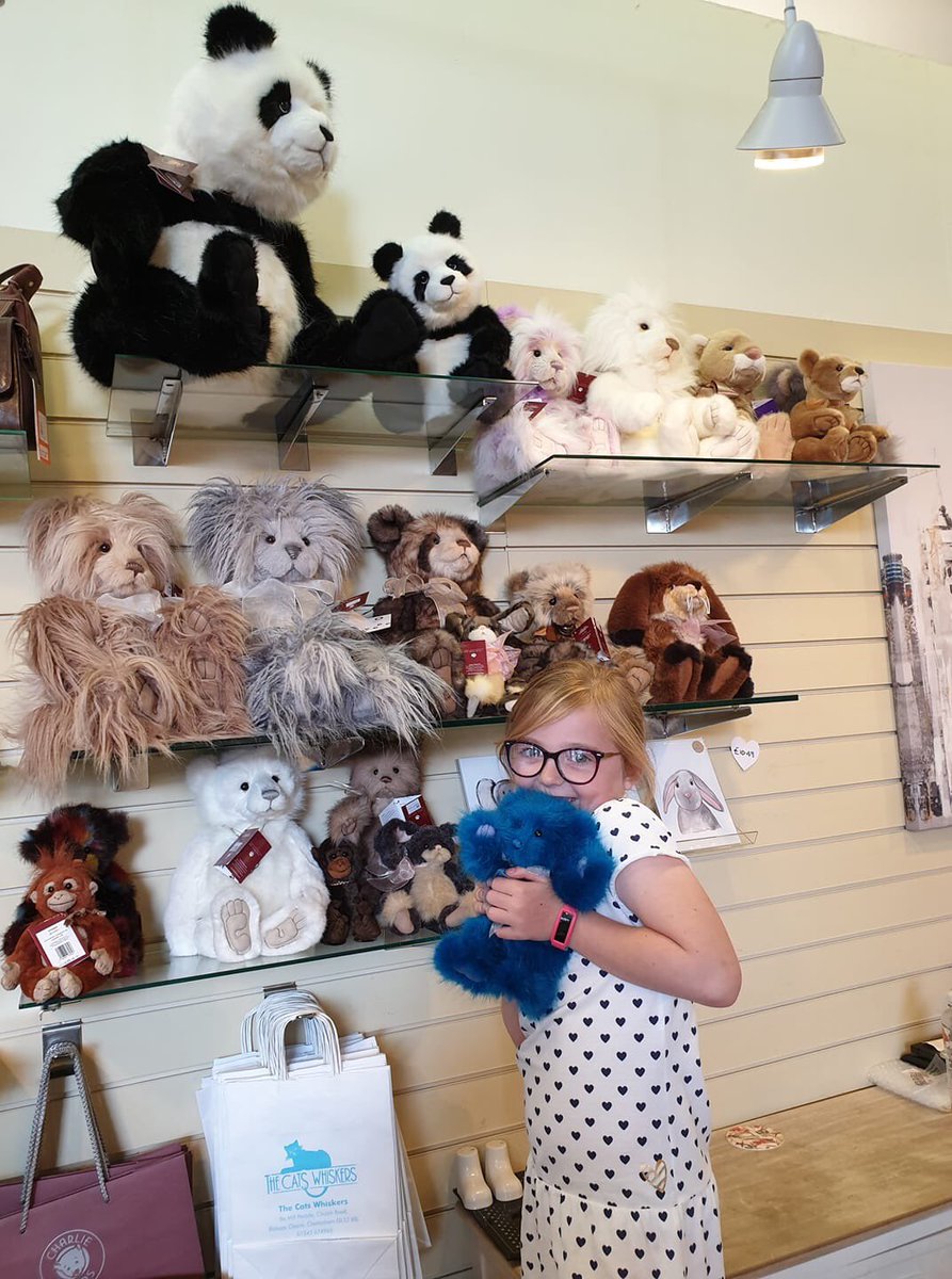 CatsWhisker6's tweet photo. Today is #NationalTeddyBearDay 
Here is our junior apprentice making sure all our Charlie Bears are feeling loved. 
#charliebears #nationalteddybearday #juniorapprentice #bearhouse #bearswithpersonalities #showthelove 
https://t.co/82CtpLx2hc https://t.co/Vx7gAQ7OR3