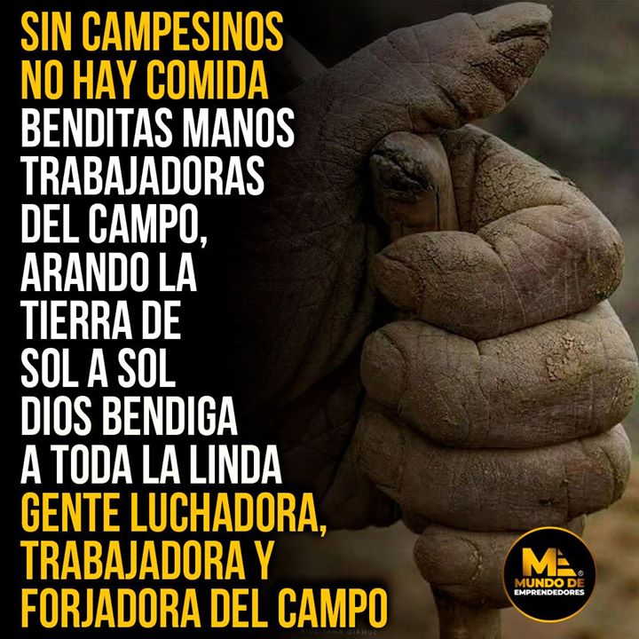 Mrjuanlima's tweet image. .