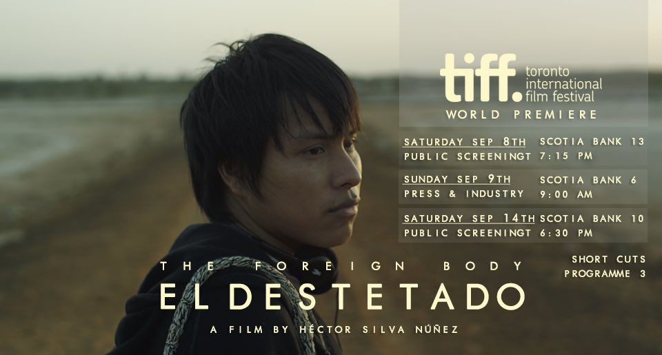 Hace un año no me creía estrenábamos mi segundo corto <a href="/eldestetadofilm/">eldestetadofilm</a> en el <a href="/tiff_net/">TIFF</a>, un festival lleno de gente amigable, compañeros inspiradores y un público de los que te paran en la calle y te comentan de tu peli con una pasión admirable #shortfilm #TIFF2019 #cinevenezolano