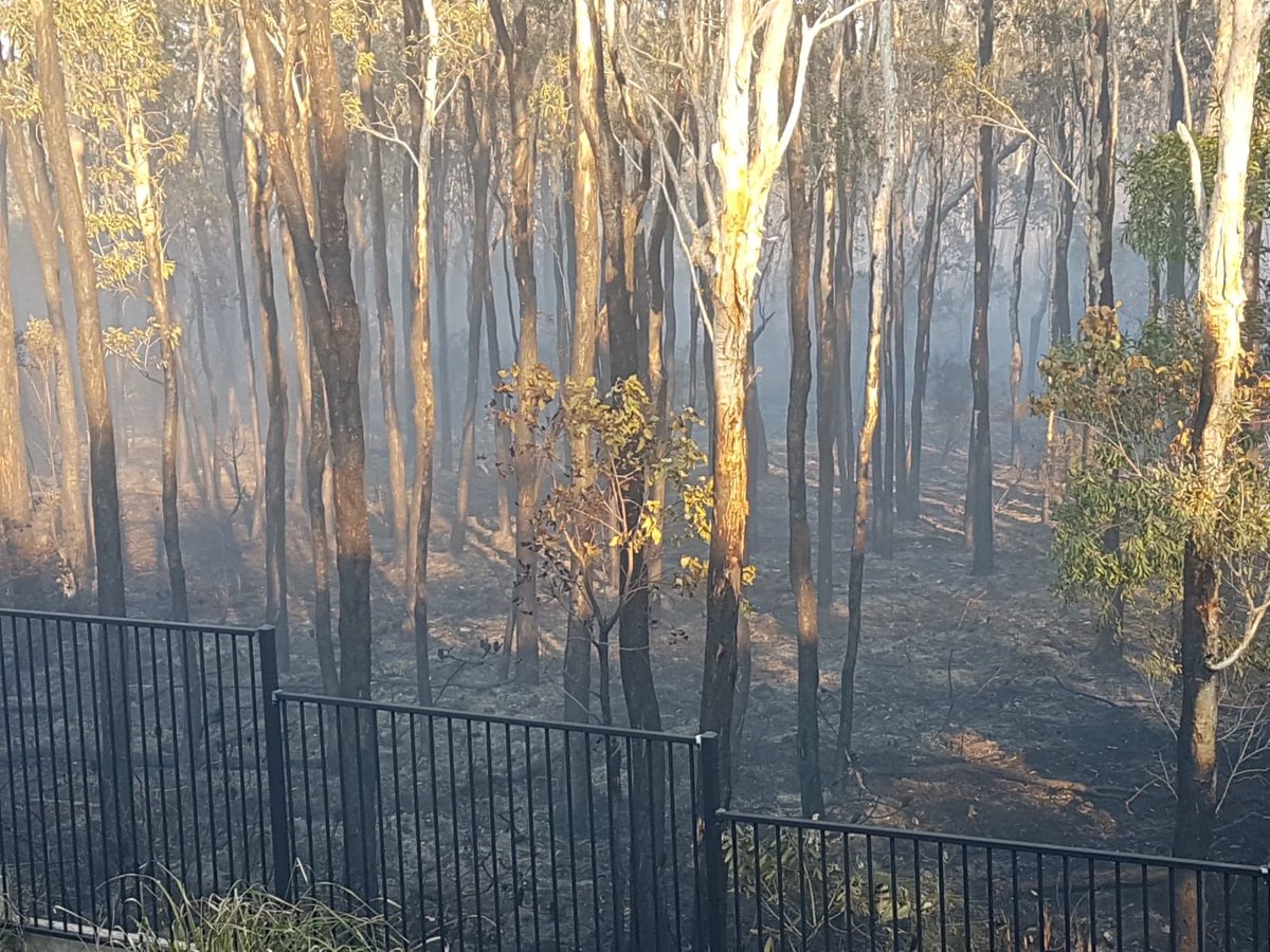 EllieSibson's tweet photo. Peregian Springs residents are waking to see how close the bushfire came to their properties @abcbrisbane https://t.co/uTTQW1DCwp