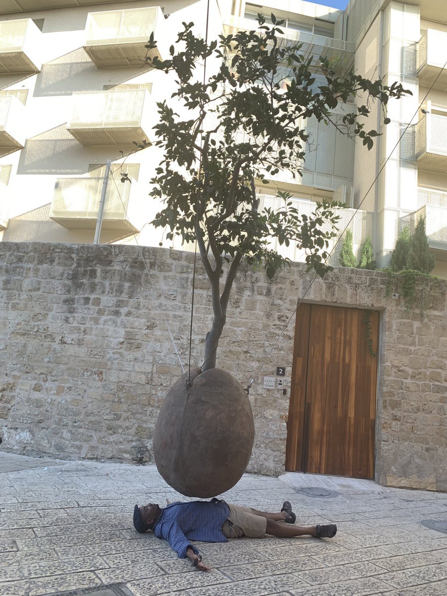 FanuelMuindi's tweet photo. Sometimes, you just have to lie under the tree. #floatingtree in Tel Aviv. https://t.co/WYgFtGiVv6