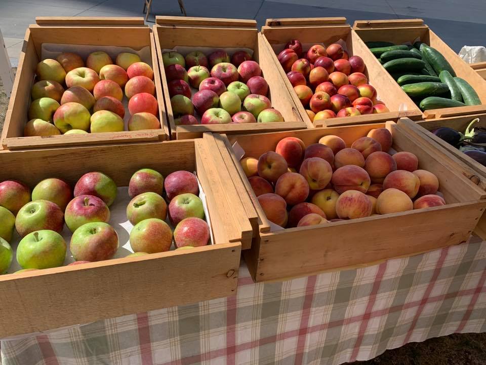 You’ve only got a few more Tuesdays left to visit the <a href="/boston_landing/">Boston Landing</a> Farmers Market! Shop fresh &amp; local with us September 10th, 17th and 24th from 11:00 a.m. - 2:00 p.m.