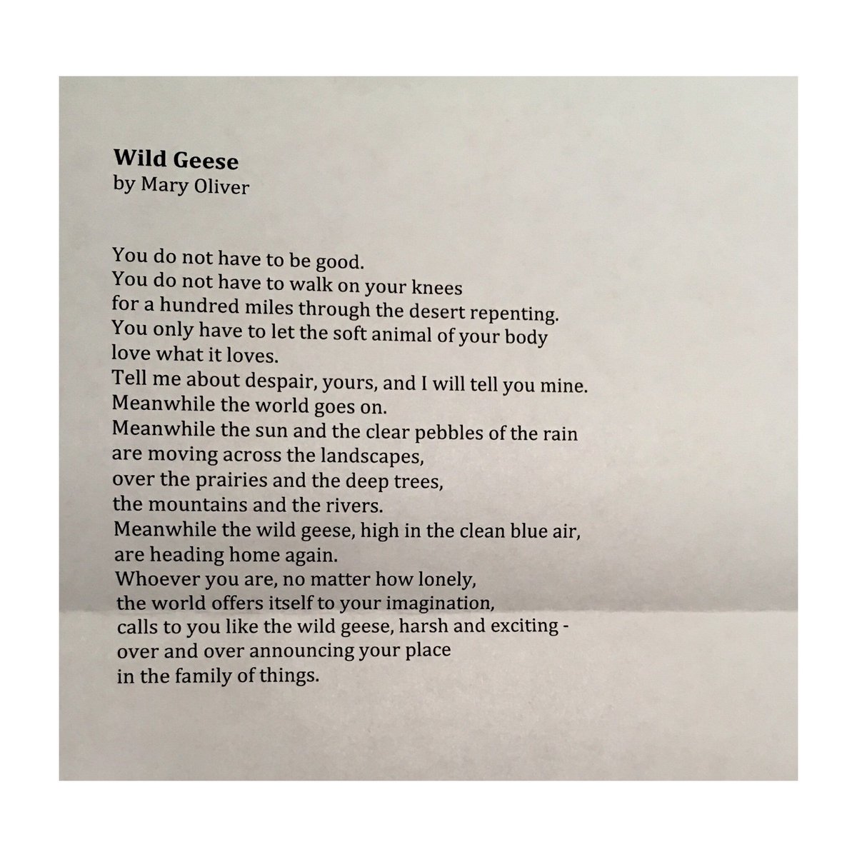 I’m so happy that I discovered @PoetryExch @KingsPlace. Thank you for the gift 🙏🏾#PoemsAsFriends #MaryOliver #WildGeese #extraordinary #poetry 💖💫🦚