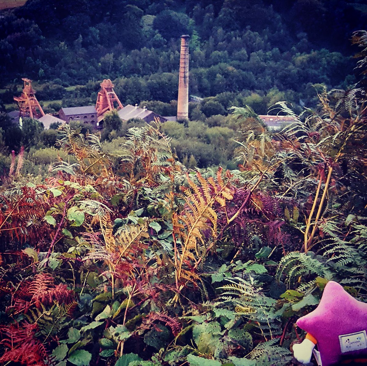 Flaxandrelax's tweet photo. Treated Seren to some cultural heritage this evening #cavsteptember https://t.co/v32gikQBwx