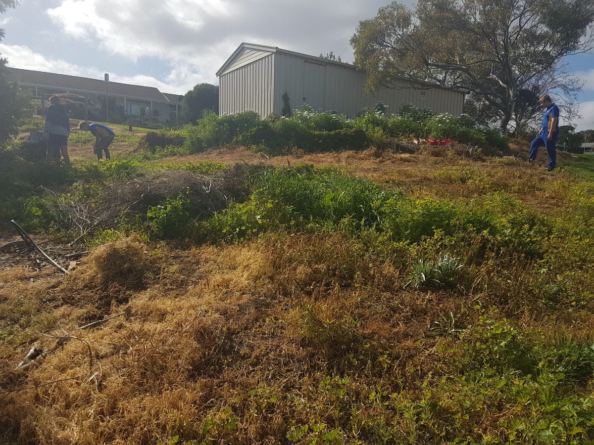 ProjReimaginate's tweet image. Secret Garden ✅

Mud Kitchen ✅

Forest Play 🔜

Loose Parts Play 🔜

Traverse Climbing Wall 🔜

#ProjectReimaginate