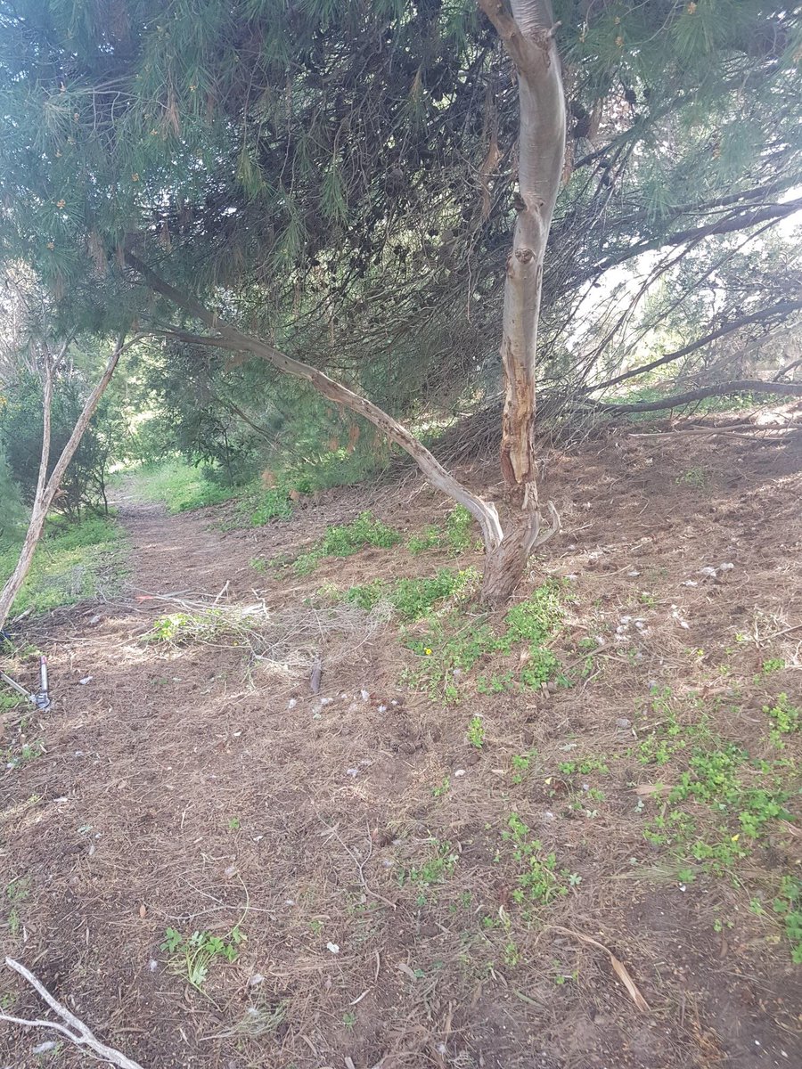 ProjReimaginate's tweet image. Secret Garden ✅

Mud Kitchen ✅

Forest Play 🔜

Loose Parts Play 🔜

Traverse Climbing Wall 🔜

#ProjectReimaginate