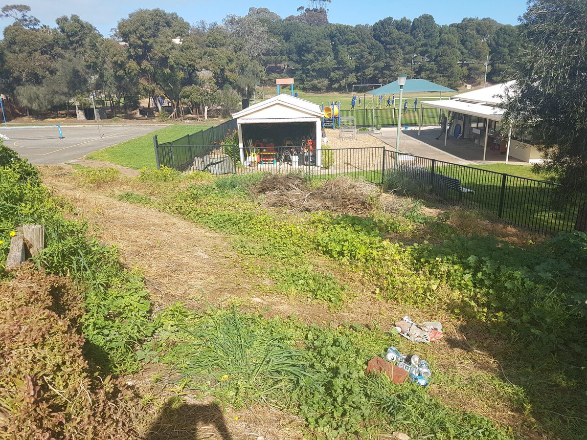 ProjReimaginate's tweet image. Secret Garden ✅

Mud Kitchen ✅

Forest Play 🔜

Loose Parts Play 🔜

Traverse Climbing Wall 🔜

#ProjectReimaginate