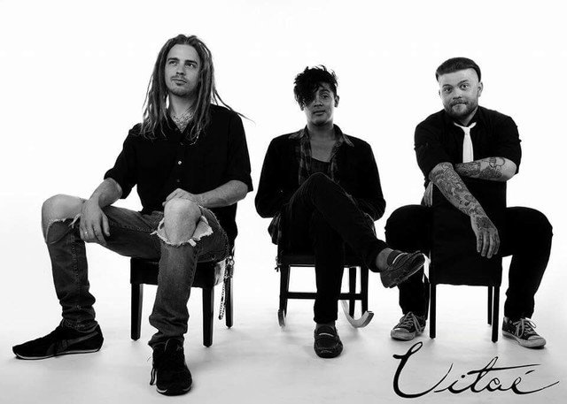 Vitaé tweet media