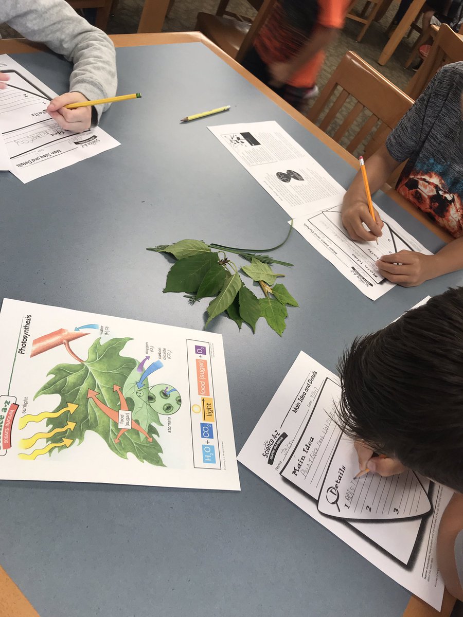 cartmellcatt's tweet photo. Learning some life science in Mighty Monday! We investigated physical properties of leaves with a peek through the microscopes, and learned about photosynthesis! #cartmell2020 #mightymonday https://t.co/5xNFCq03lB