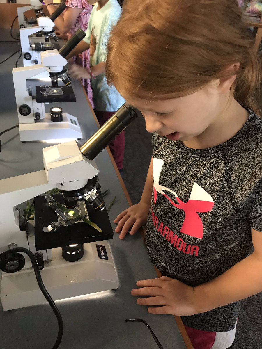 cartmellcatt's tweet photo. Learning some life science in Mighty Monday! We investigated physical properties of leaves with a peek through the microscopes, and learned about photosynthesis! #cartmell2020 #mightymonday https://t.co/5xNFCq03lB