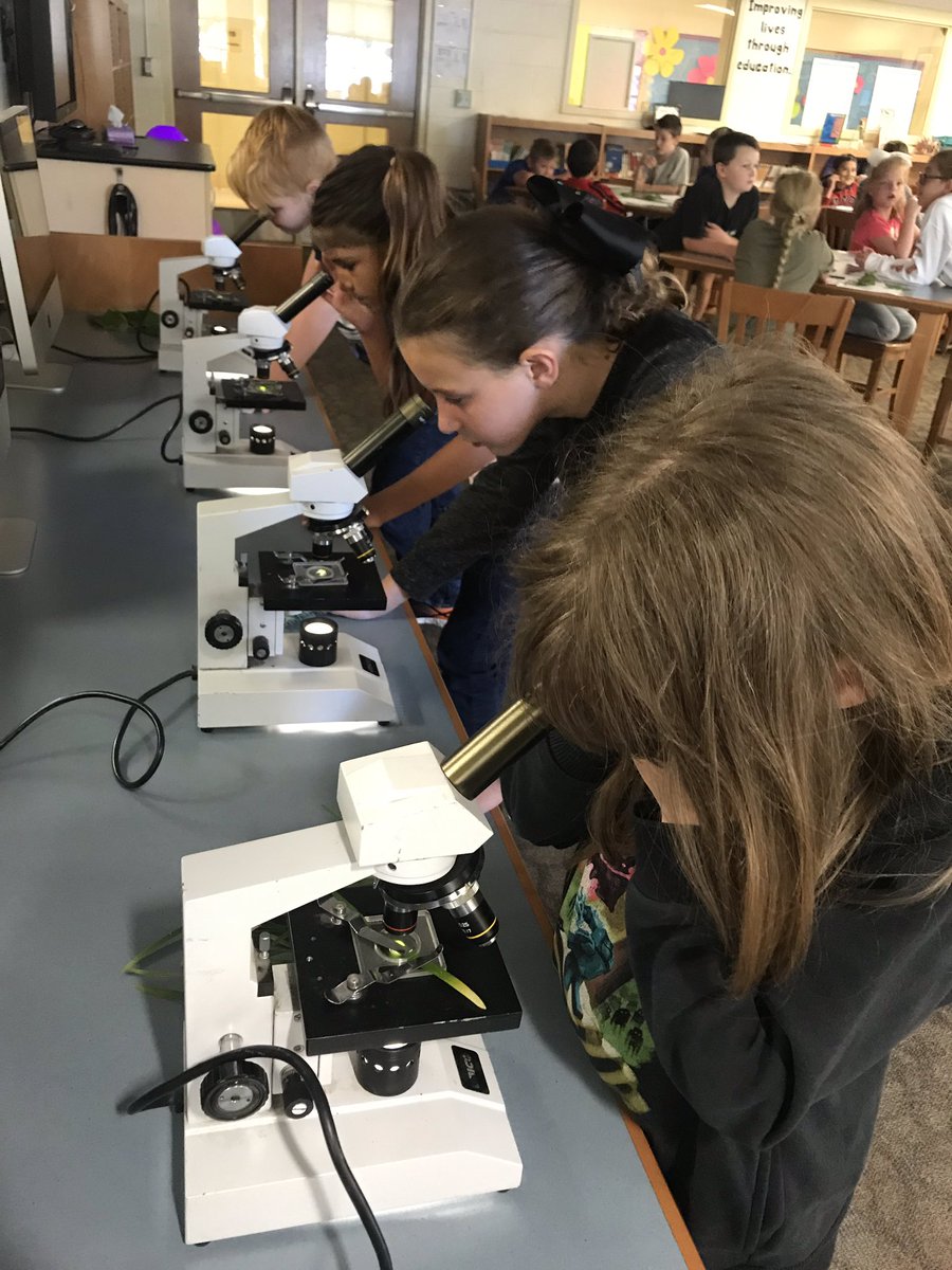 cartmellcatt's tweet photo. Learning some life science in Mighty Monday! We investigated physical properties of leaves with a peek through the microscopes, and learned about photosynthesis! #cartmell2020 #mightymonday https://t.co/5xNFCq03lB