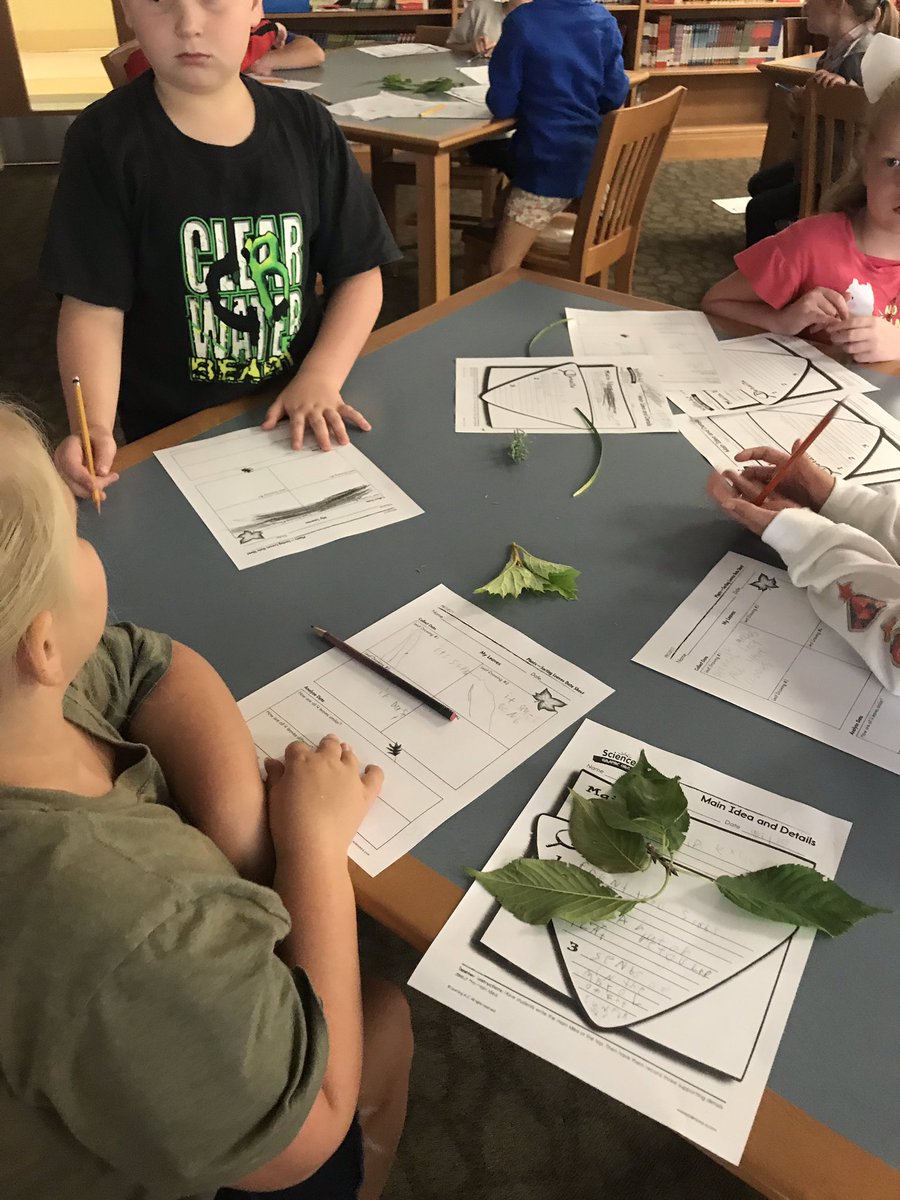cartmellcatt's tweet photo. Learning some life science in Mighty Monday! We investigated physical properties of leaves with a peek through the microscopes, and learned about photosynthesis! #cartmell2020 #mightymonday https://t.co/5xNFCq03lB