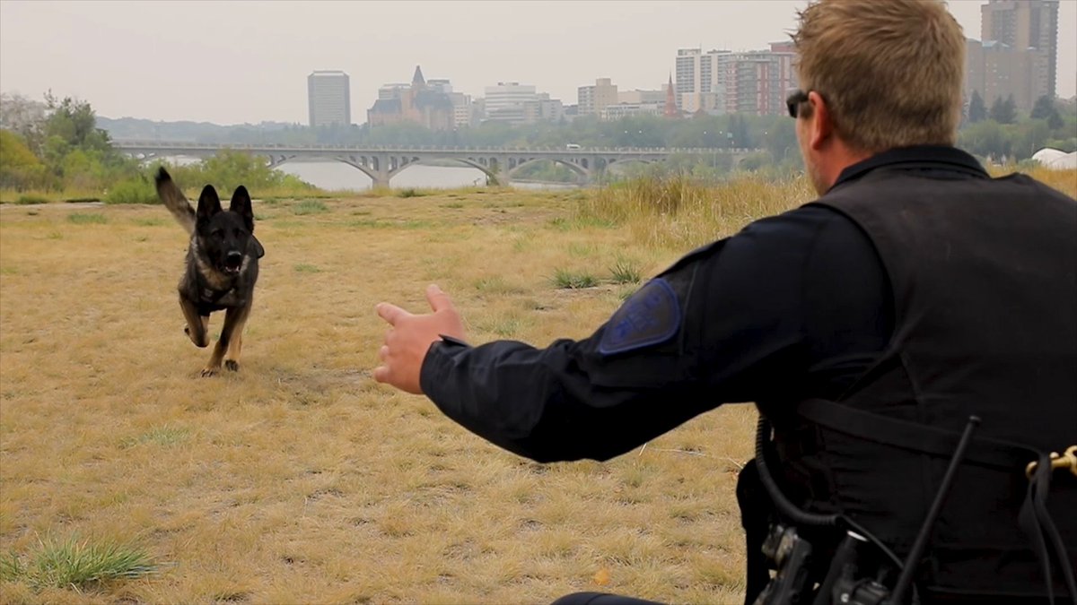 SaskatoonPolice tweet picture