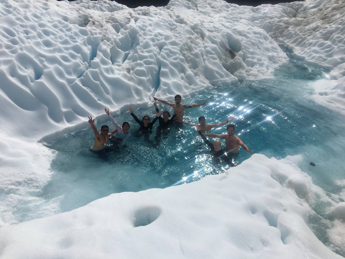 Fox Glacier Guiding tweet media