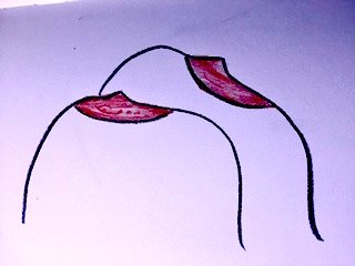 lovingisdancing's tweet photo. I love doodling breasts. Here is a haiku to go with the doodle. (5 syllables, 7 syllables, 5 syllables). I'm sure some of you can do better than me!

Fleshy breasts, so squishy
Hard nipples, very erect 
Pinch, pull, squeeze, suckle

#Austindate #companion #erotica https://t.co/vviYb1IqEN