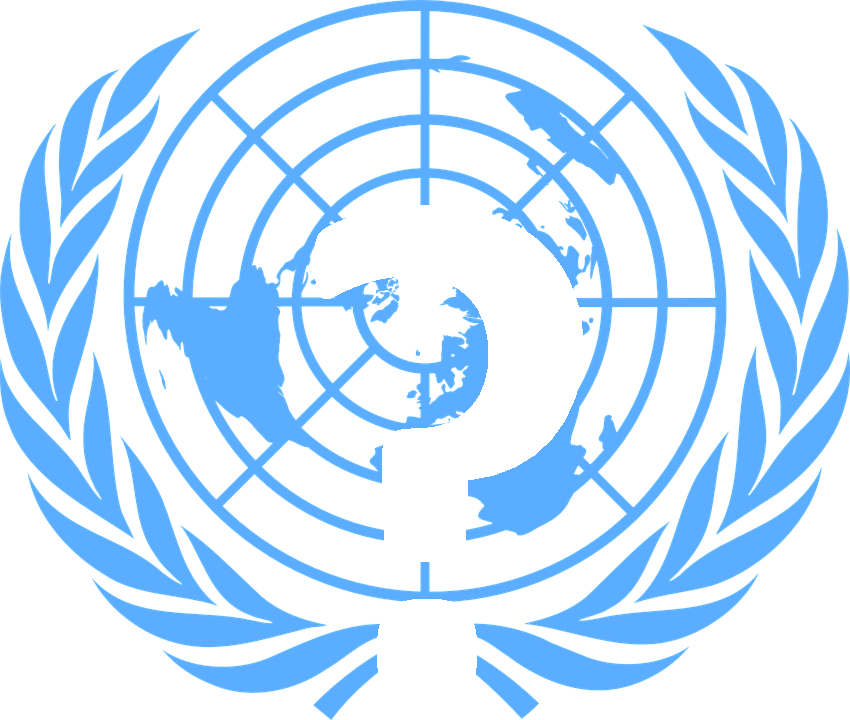 ddveinsan's tweet photo. MODEL UNITED NATIONS (MUN) SİMÜLASYONUNA YENİ BİR BAKIŞ AÇISI: MODEL GLOBAL ACTORS (MoGA) https://t.co/uhqvXmyA35 https://t.co/u9kFs1D4d8