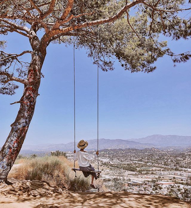 chillwithchloe's tweet photo. Swinging above LA💫.
.
.
#chloegoestoLA #ootd #chloetootd #wiw #whatiwore #lackofcolor #urbanoutfitters #potd #chillwithchloe #chloesandays #swingontopofelysianpark #elysianpark https://t.co/Oe645lTuSB https://t.co/arhiudYV84