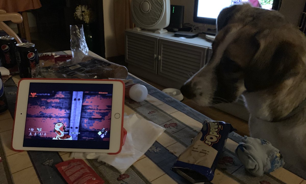 24Vlogs's tweet photo. Estamos vieneo el directo de @LuzielErebus en #Twitch y nuestra perra Amber se ha apuntado ☺️ https://t.co/kbkFd4YJch