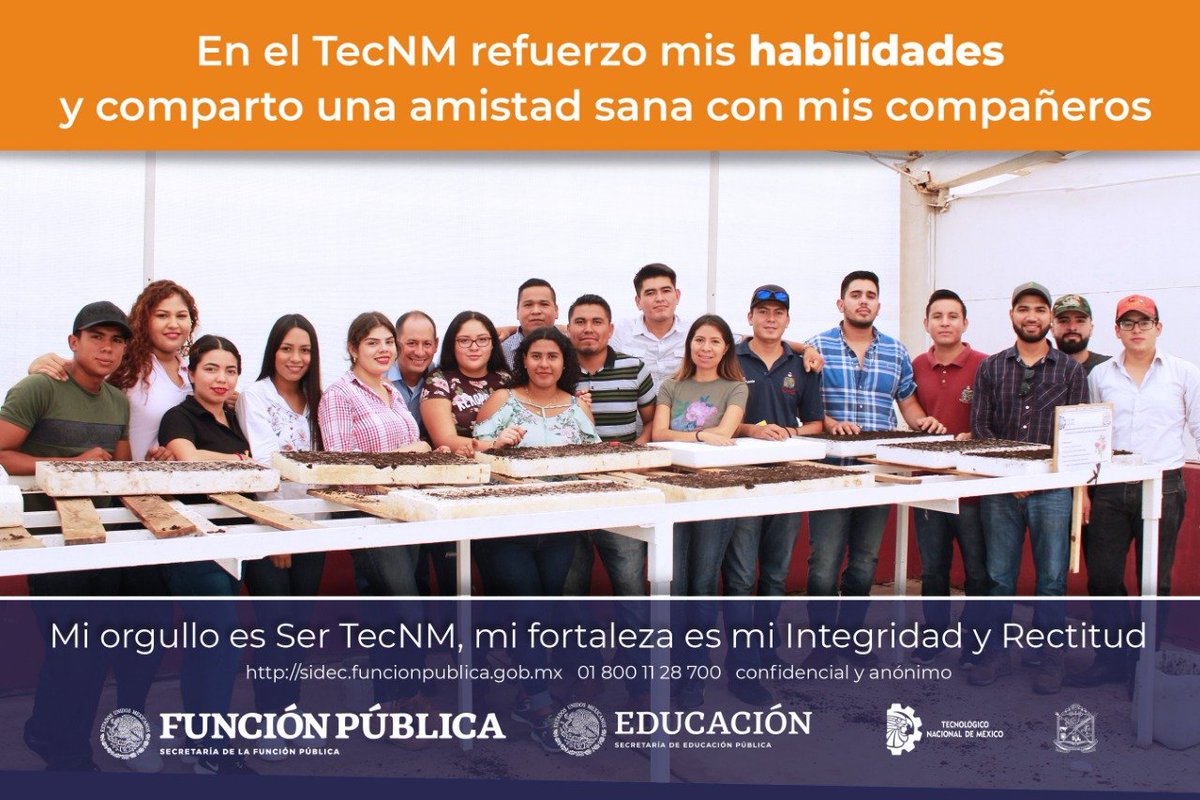 TecNMTeziutlan's tweet photo. En el #TedDeTeziutlán reforzamos las habilidades para que nuestras y nuestros alumnos, tenga una amistad sana entre compañeros.

#OrgulloMapache 🐾🦝 https://t.co/SNXEzKFWnA
