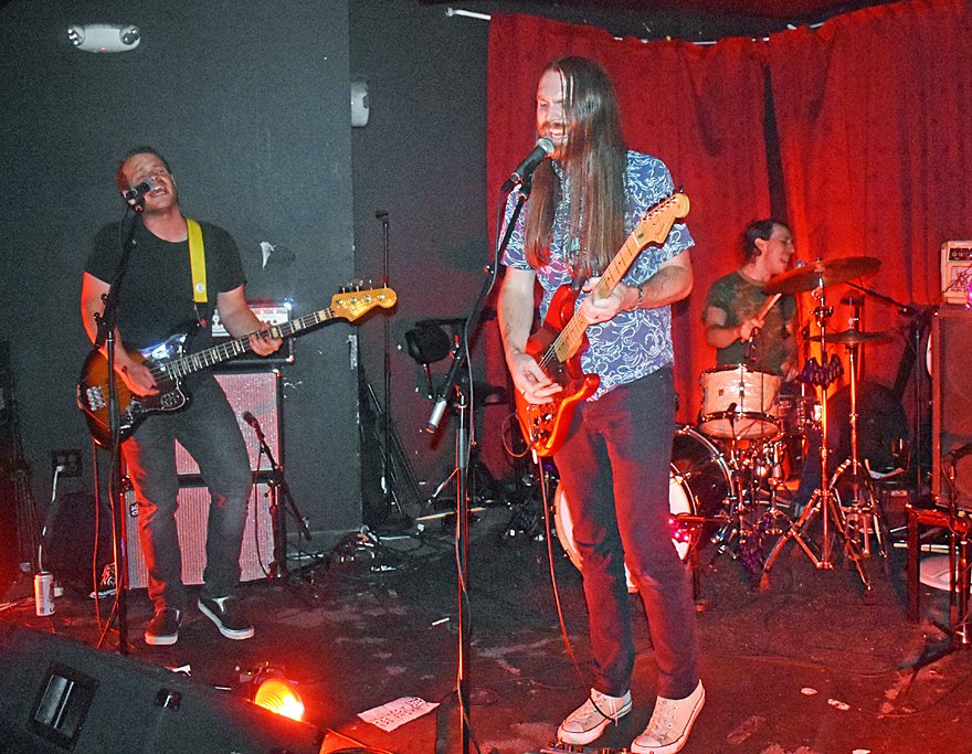 PunkBlowfish tweet media