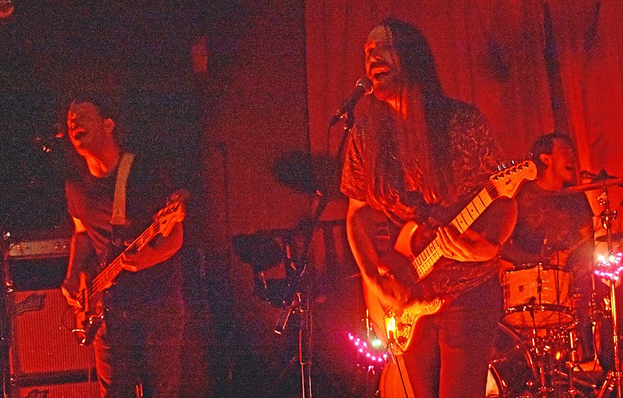 PunkBlowfish tweet media