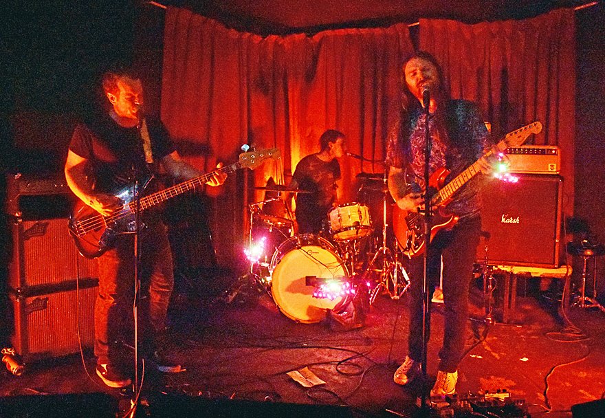 PunkBlowfish tweet media