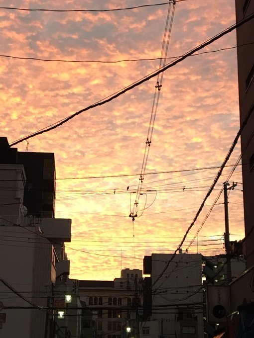 帰りがけ、あまりにも素敵な朝焼けやったから、思わず写メってしまった。 写メだと、あんまり伝わらんかもわからんけど（；＿；） https://t.co/6L6sZW9N52