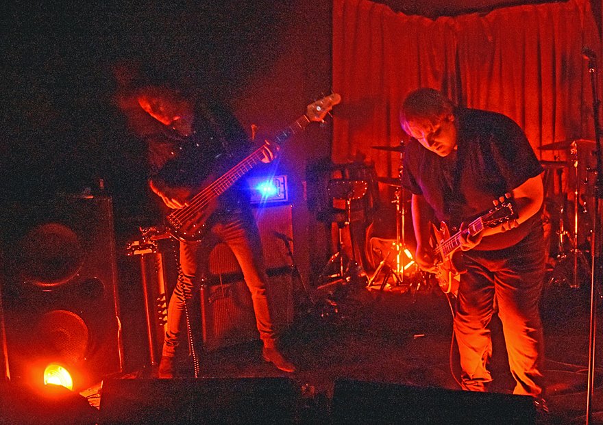 PunkBlowfish tweet media