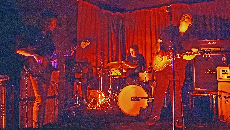 PunkBlowfish tweet media