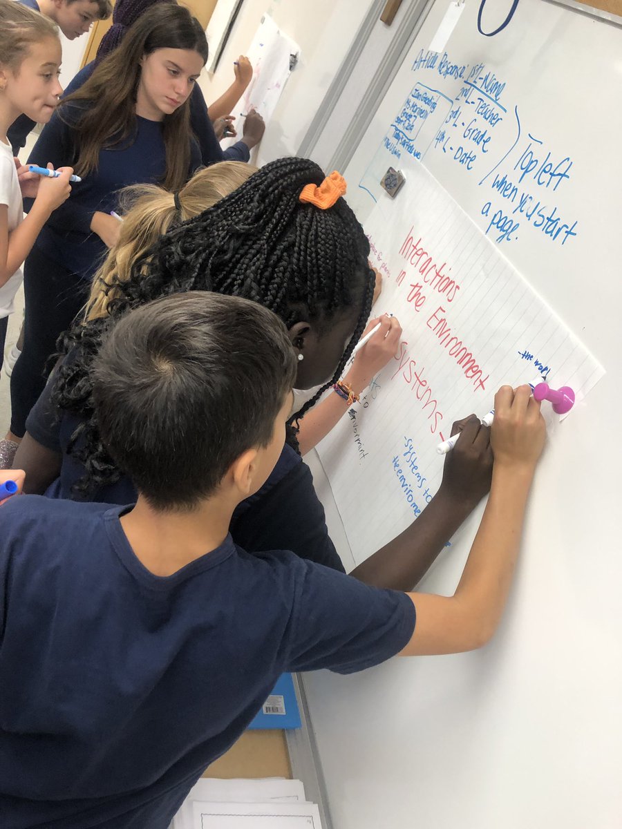 msmarinelli's tweet photo. @StGregoryCS Grade 6/7 students activating prior knowledge as they explore grade specific science strands #STEM #biodiversity #lifesystems #interactionsintheenvironment 💡 https://t.co/7MgbWT1Zur