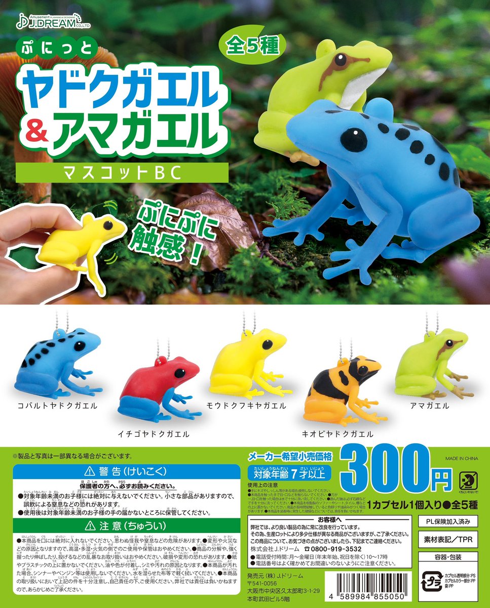 9月発売商品のご紹介✨ 手の平サイズのぷにぷになカエル達が登場