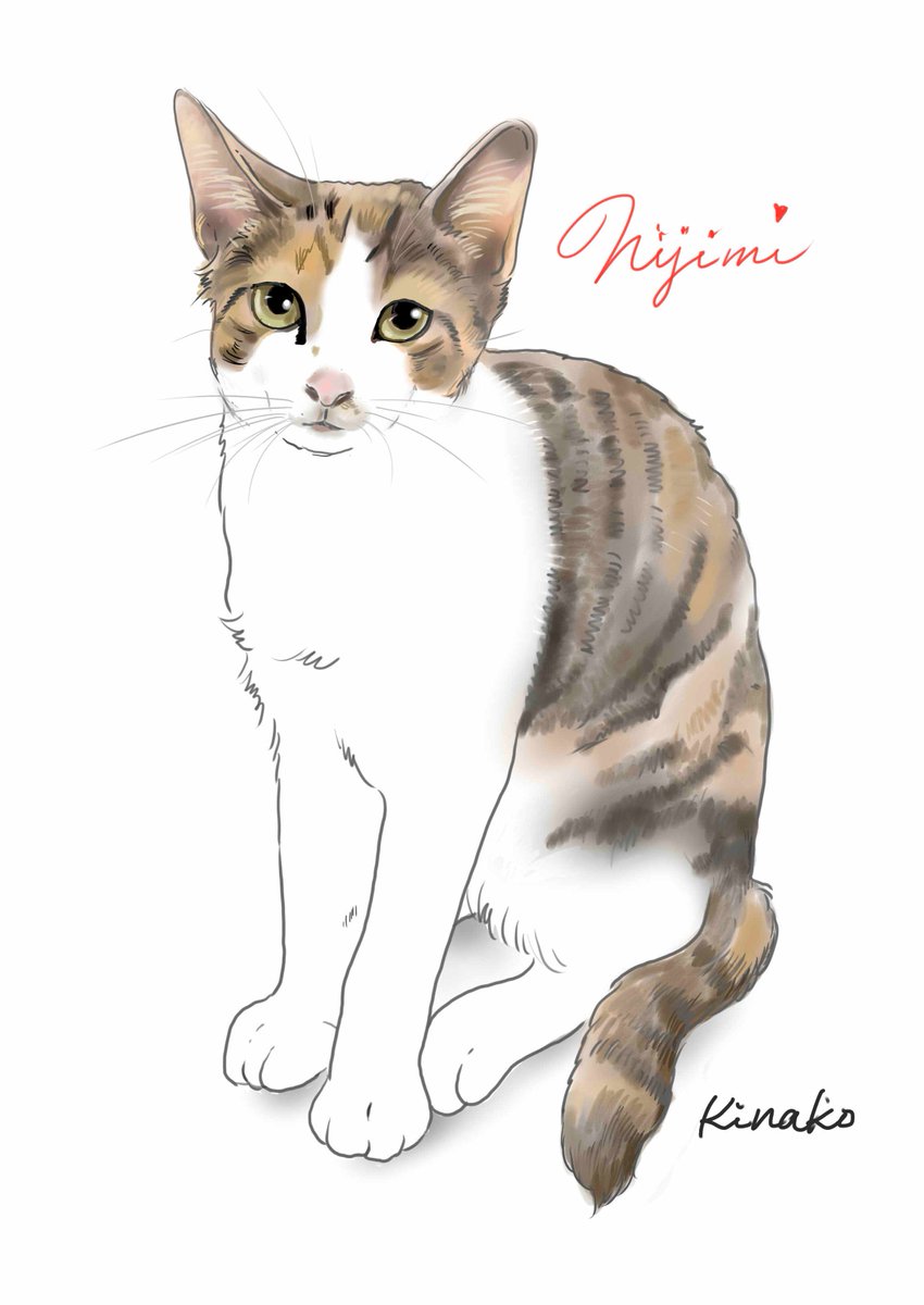 きなこ 猫の絵を描いています A Twitter 河原のノラ猫シリーズ この春に子猫たちが仲間入りしました 名前を覚えたいと思って イラストでご紹介します 今日は シャシャの子供の活発な三毛猫のニジミ はじめまして 猫絵 Cat Drawing 猫 イラスト 猫画