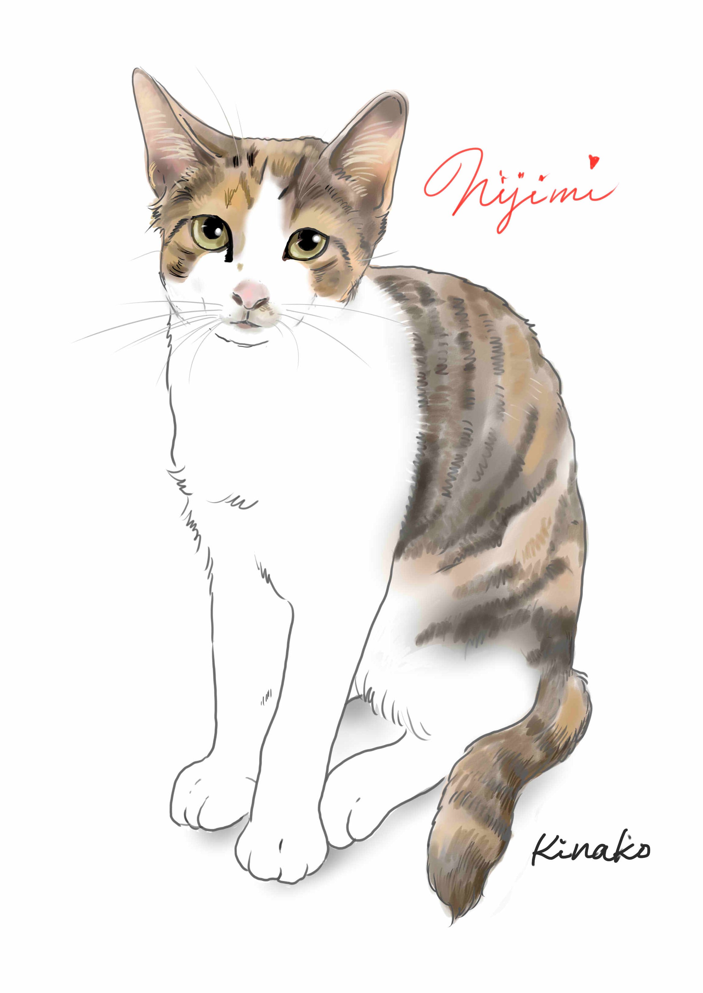 きなこ 猫の絵を描いています 河原のノラ猫シリーズ この春に子猫たちが仲間入りしました 名前を覚えたいと思って イラストでご紹介します 今日は シャシャの子供の活発な三毛猫のニジミ はじめまして 猫絵 Cat Drawing 猫イラスト 猫