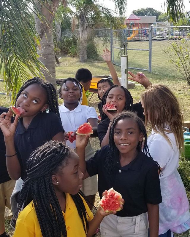 gofm_s's tweet photo. Fresh, sweet delicious watermelon! The young gardners at Morgan enjoyed harvesting and eating watermelon, sweet potato leaves and limes! .
.
#gofm #ygp #morganelementary #morganelementaryschool #kidsgarden #eatforlife #gardentotable #kidswhogarden https://t.co/DvRSyF9hby https://t.co/d3JatseOvl