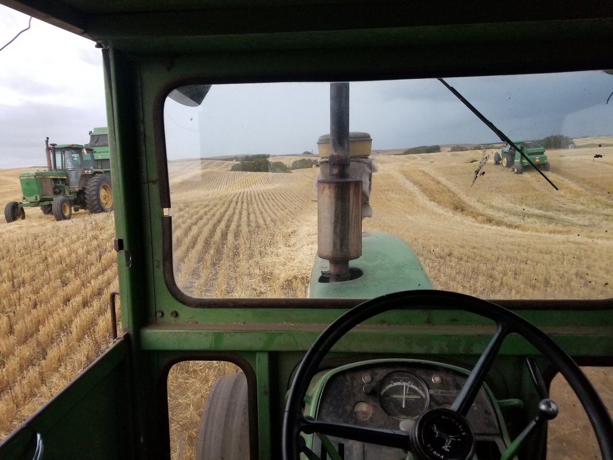 HaystinH's tweet photo. Busy day baling straw before the rain. Lots of green and yellow in this field. #harvest2019 https://t.co/WKM7KQbyBQ