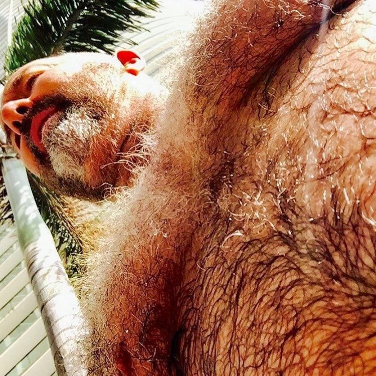 daddybears0125's tweet photo. hairy gay daddy https://t.co/xZfNWOAtM1
