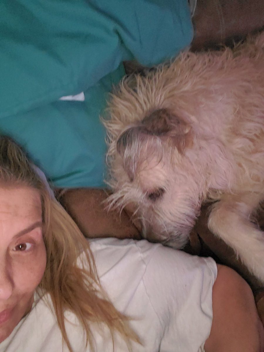 Pitcrewprincess's tweet photo. Mommy's sweet girl Carte Blanche, always by my side. #irishwolfhound #servicedogsrule #horsepuppycrew #spoiledfurries ❤🐾 https://t.co/8jjhbjWRcS