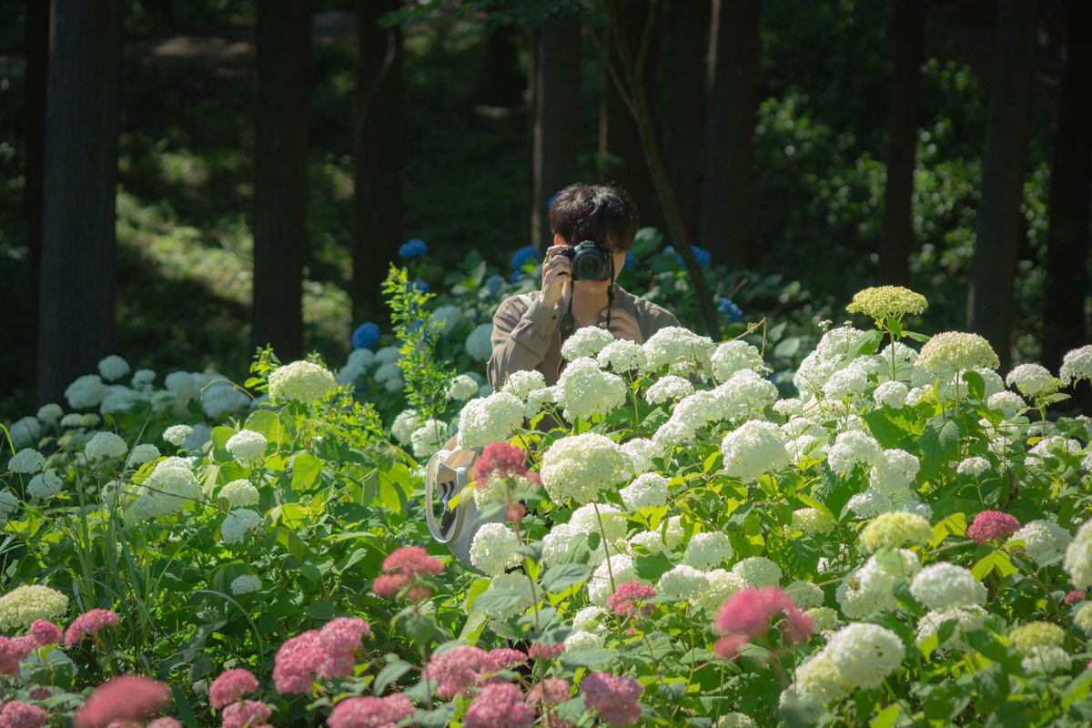 pho_take's tweet photo. もう夏も終わるけど、そういえば夏に撮った写真全然あげてなかったなぁと
少しずつあげていきまーす
@kariiino0613 と行ったみちのくあじさい園
#みちのくあじさい園 #紫陽花
https://t.co/mrIPtDNG4E https://t.co/4sCV2gorrV
