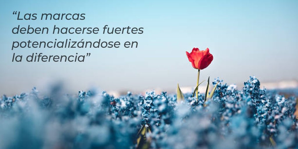 #Cualestuwow 
.
#marketingdigital #marcadigital #marcapersonal #socialmedia #desarrolloweb #branding #digitalmarketing #desarrollodemarca #marketingmusic #musicos #3wow