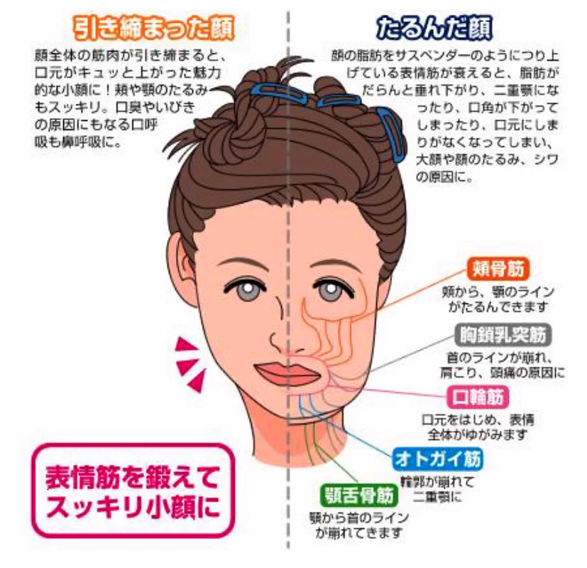 小顔になりたい人必見の顔面体操とマッサージはこちら！