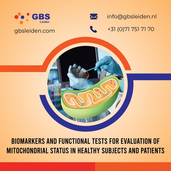 #GBS mitochondrial screening assays can help you to determine the impact of your lead candidate on the energy cycle in cells or just to measure basal mitochondrial function in patients.