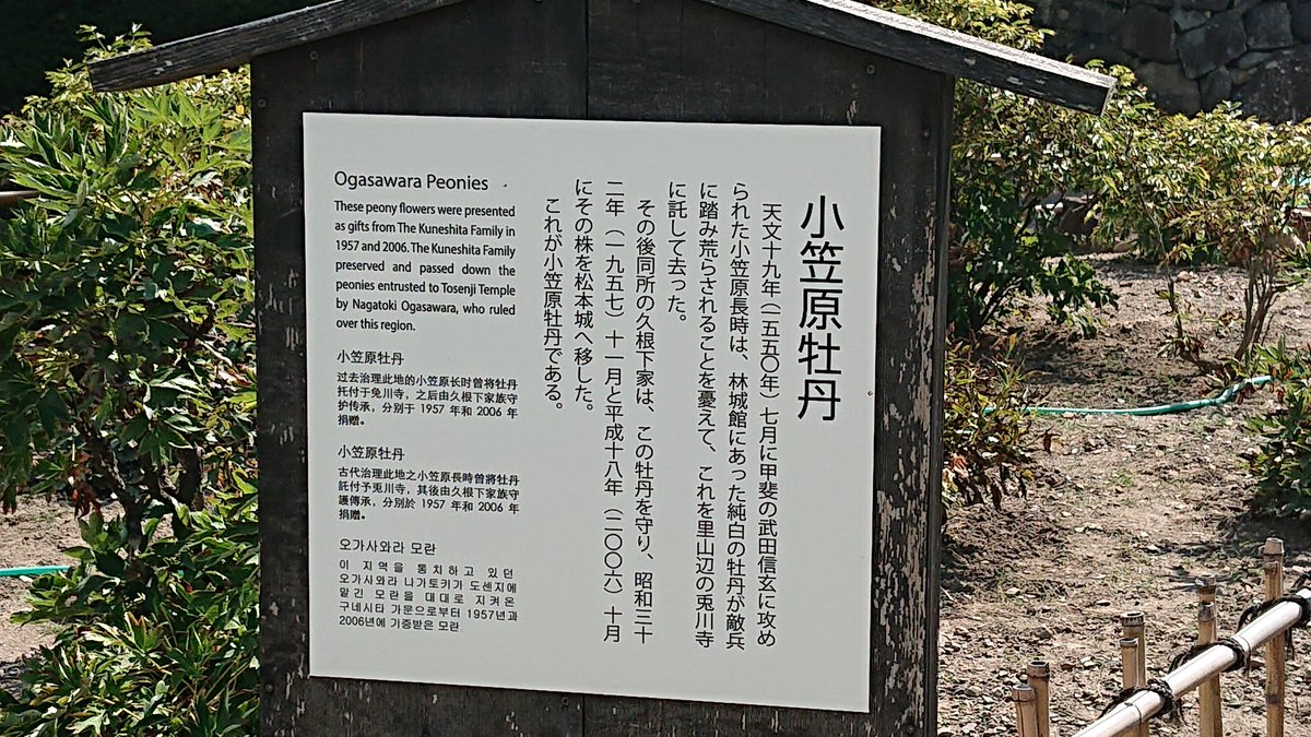 小笠原長時 小笠原長時