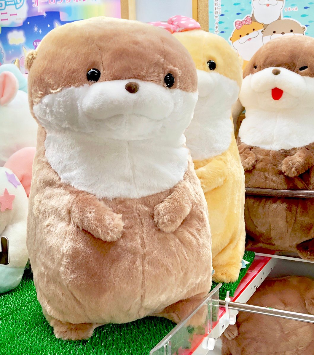 入荷情報】 『カワウソうそやんBIG』を入荷しました！ ちょっぴり胴