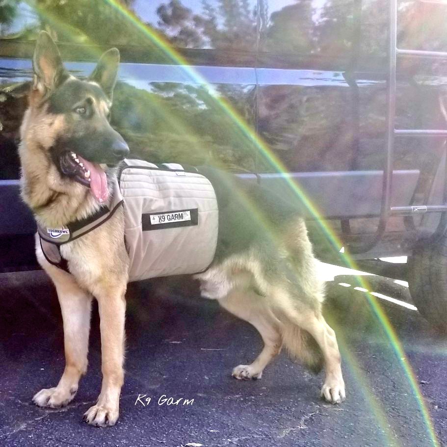 K9Garm's tweet photo. New name tapes from Meredith @Love4PoliceDogs We love these and they look awesome on his #techkewl cooling vest. As always, thank you #MoosedogAgent Meredith. The moose sends ๐๐๐ Also, check out the rainbow i caught in the pic!#K9Garm #SARK9 #dogsoftwitter #gsd #FaMoose https://t.co/QiSZ7HqVAA