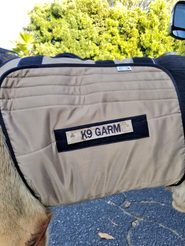 K9Garm's tweet photo. New name tapes from Meredith @Love4PoliceDogs We love these and they look awesome on his #techkewl cooling vest. As always, thank you #MoosedogAgent Meredith. The moose sends ๐๐๐ Also, check out the rainbow i caught in the pic!#K9Garm #SARK9 #dogsoftwitter #gsd #FaMoose https://t.co/QiSZ7HqVAA
