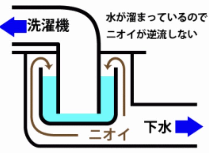 景井 ひな 台風来てから トイレが下水臭いんだけど どうしたらいいかわかる人いる